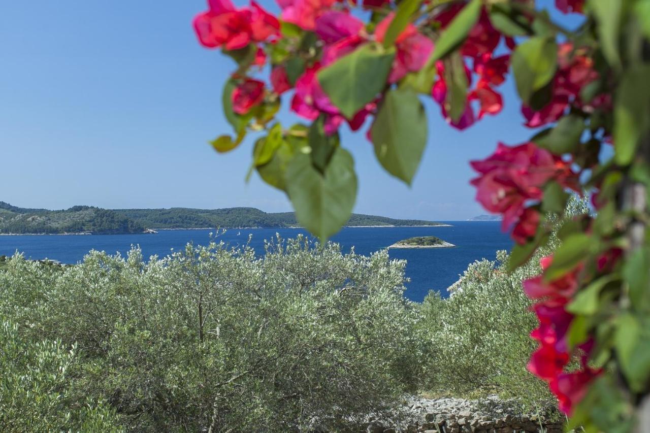 Stone House San Pelegrin Βίλα Vela Luka Εξωτερικό φωτογραφία